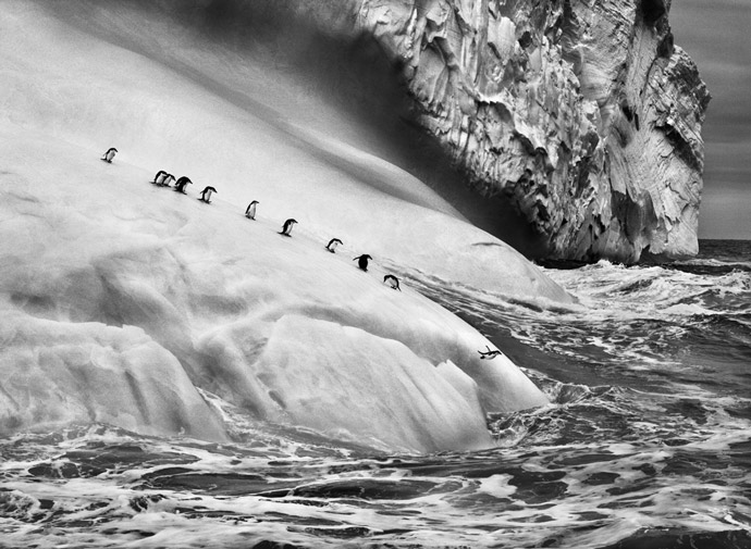 Sebastião Salgado