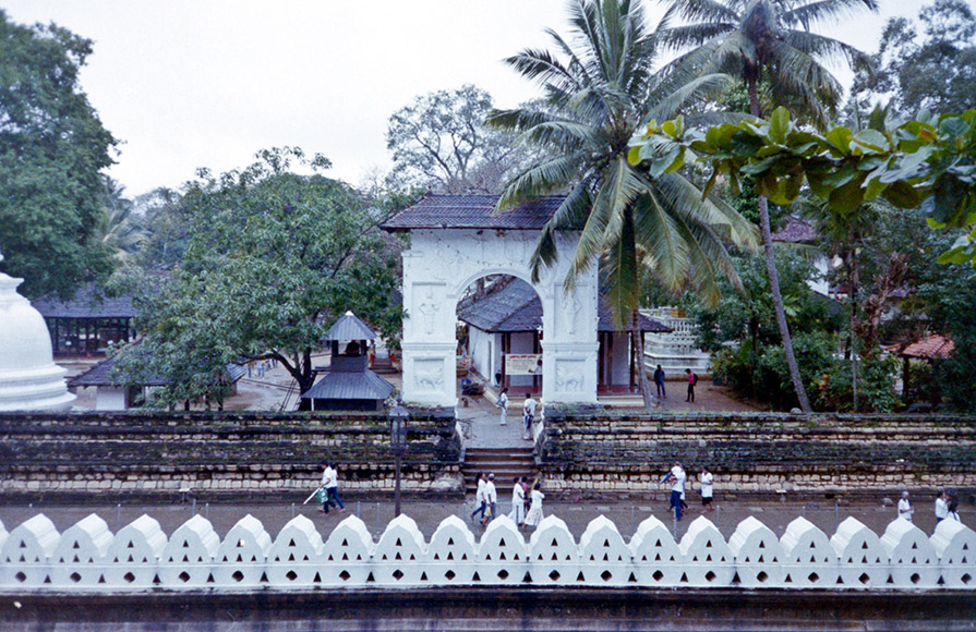 Stafano-Majno-Sri-Lanka-02