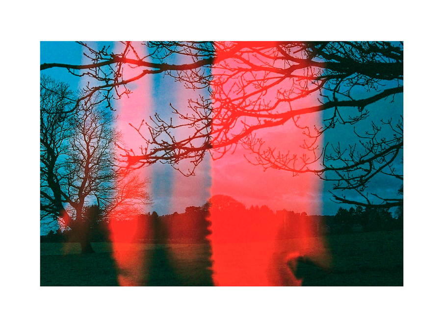 rami scuri lomography rosso 