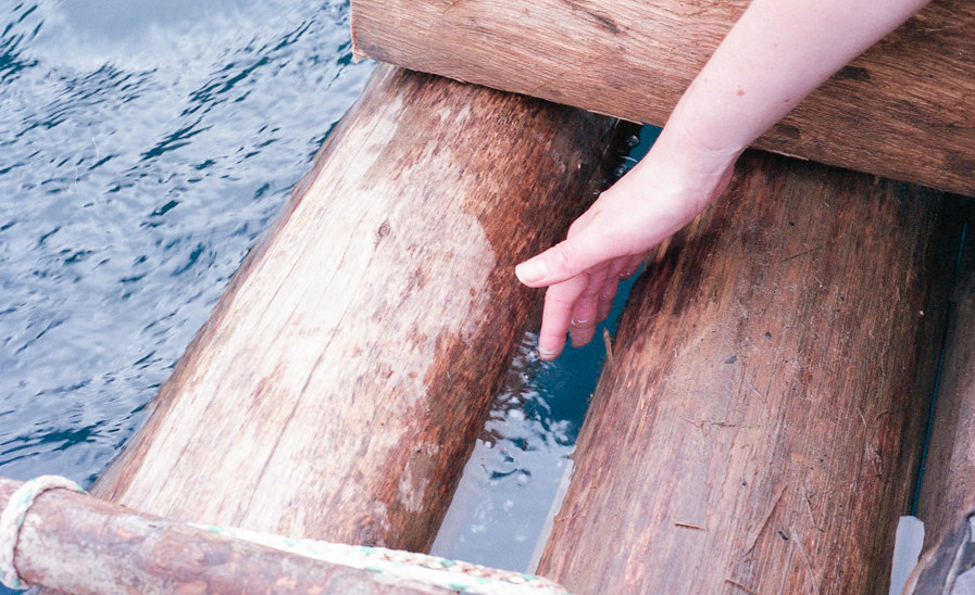 Mano che tocca l'acqua e tronchi