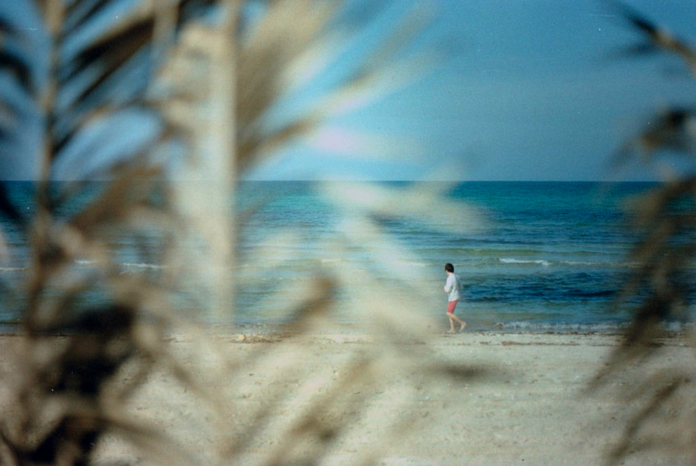 spiaggia e piante