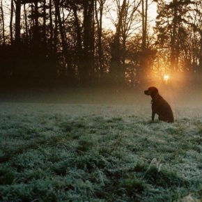 Emily Jackson - FocusOn Iso400