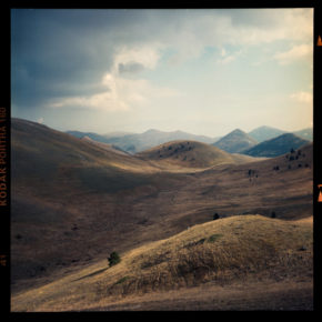 Tobia Faverio - Focus On Iso400
